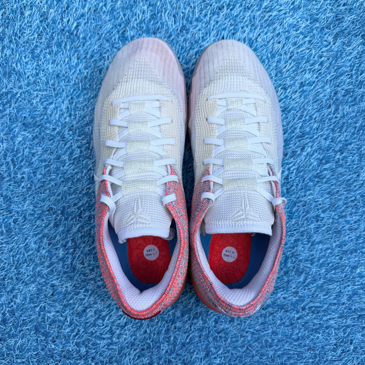 Size 10.5 - Nike Kobe AD NXT 360 "Multicolor"