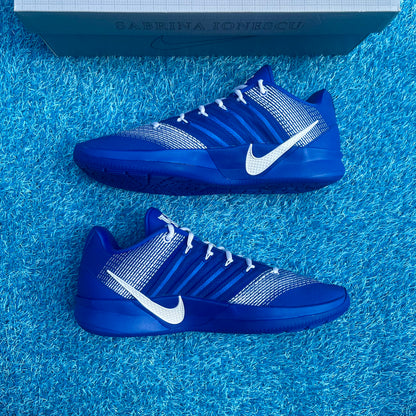 Size 11.5 - Nike Sabrina 3 PE "Kentucky"