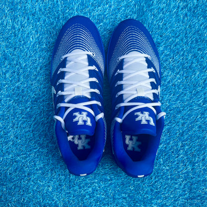 Size 11.5 - Nike Sabrina 3 PE "Kentucky"