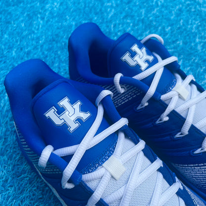 Size 11.5 - Nike Sabrina 3 PE "Kentucky"