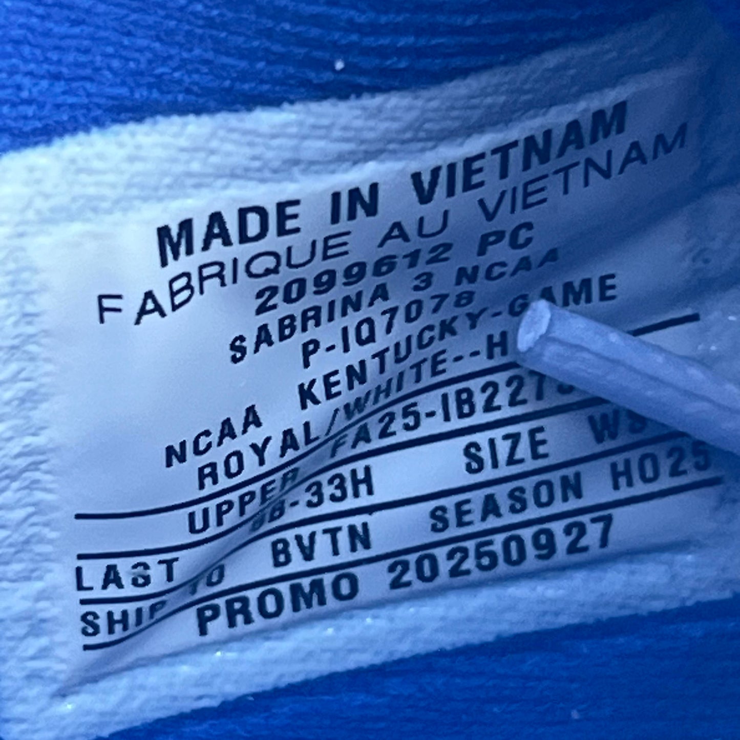 Size 11.5 - Nike Sabrina 3 PE "Kentucky"