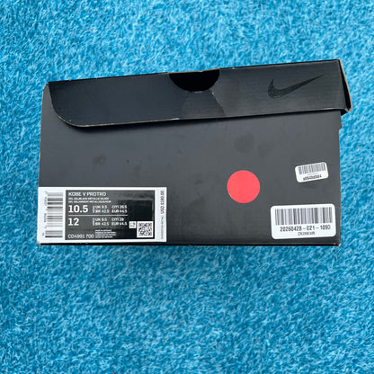 Size 10.5 - Nike Kobe 5 Protro "Bruce Lee"