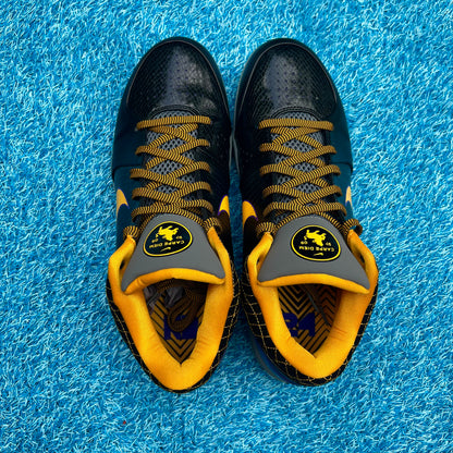 Size 13 - Nike Kobe 4 Protro "Carpe Diem"